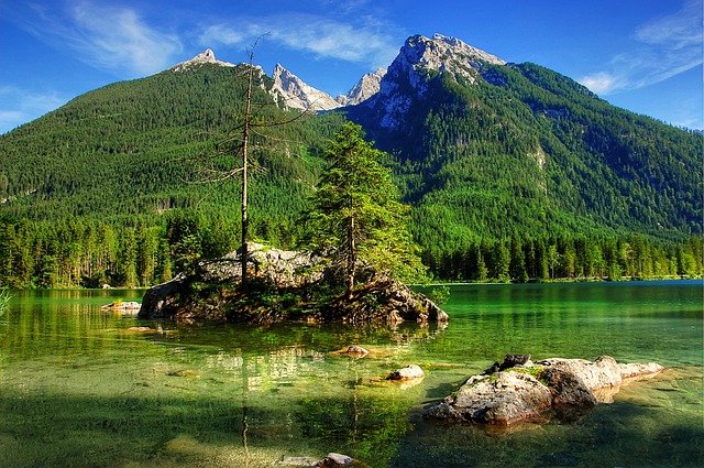 经济后果
