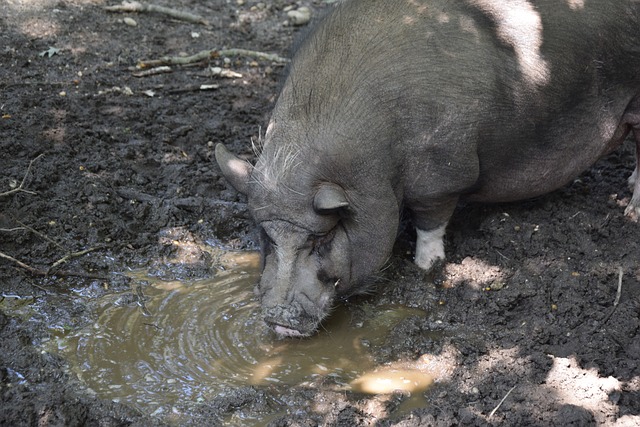这位年轻的 这位年轻的