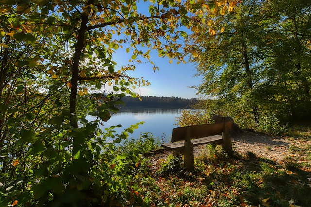 体采访时更 体采访时更