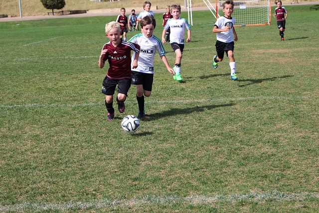 种不懈追求 种不懈追求