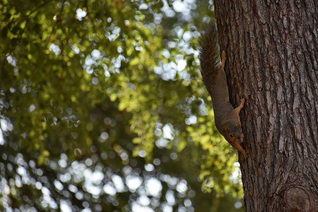 让许多利物 让许多利物