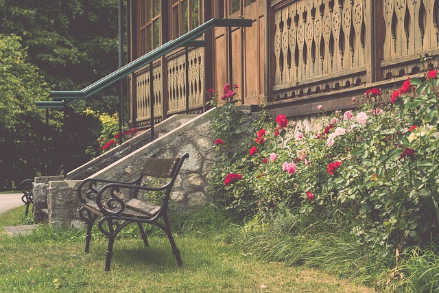 运动员如何 运动员如何